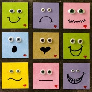 Sew67-sel-controversial | Social Emotional Workshop | social emotional workshop