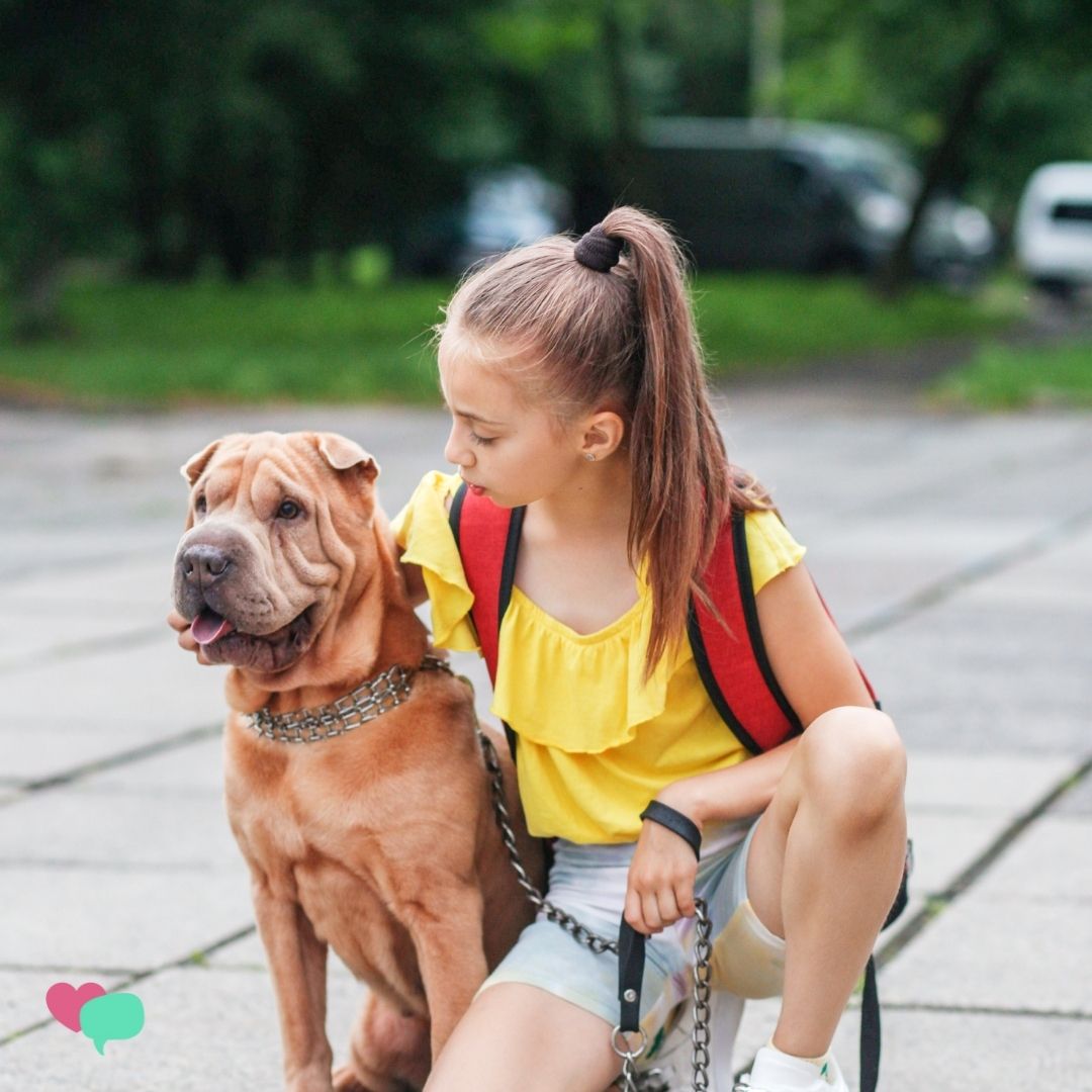 death of pet | social emotional workshop