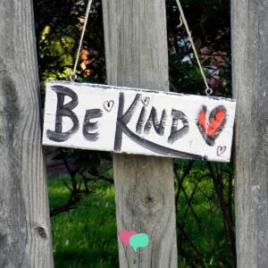 Feature Sew100 - Kindness Challenge | Social Emotional Workshop | social emotional workshop